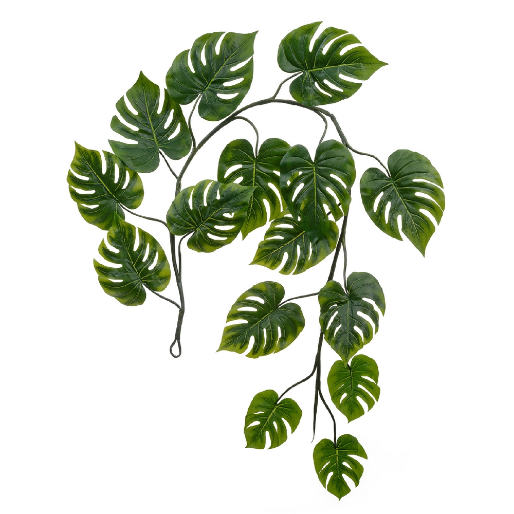 Монстера лиана  240см