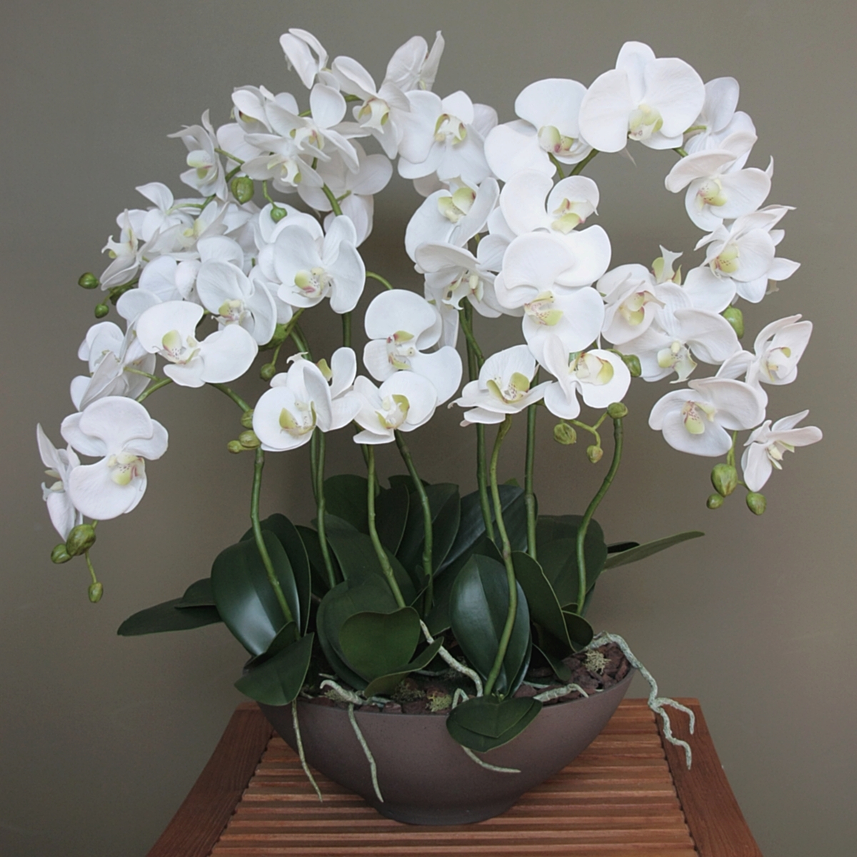 Композиция "Орхидея белая 11 веток в Чаше Диш Мокко"