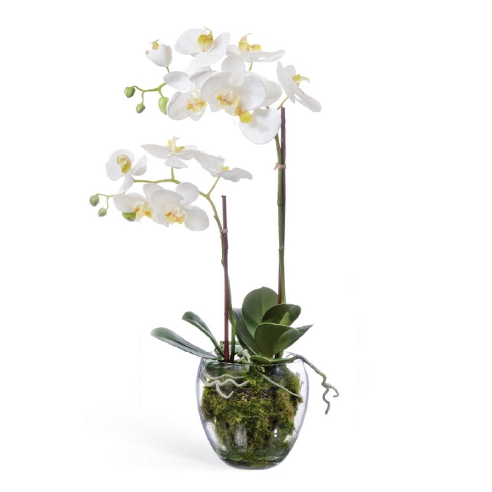 Композиция "Орхидея Фаленопсис белая 2 ветки в стекле"