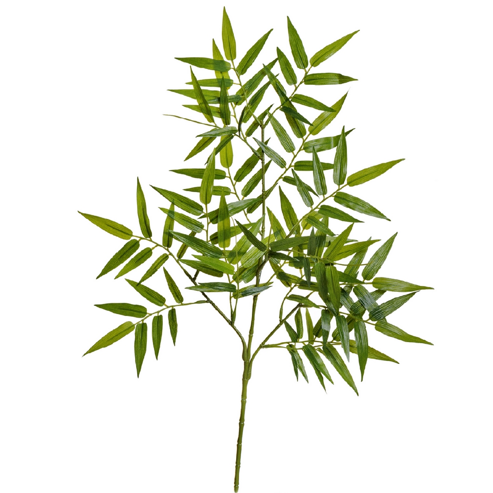 Ветка Бамбука ориенталь