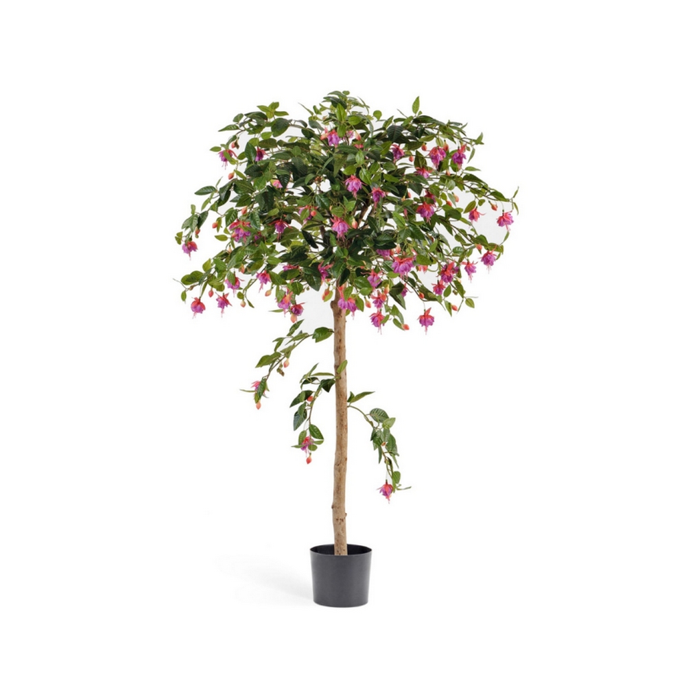 Фуксия зонтичная 140см