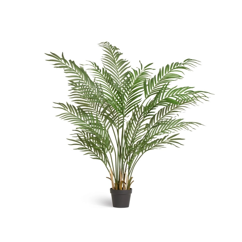 Пальма Арека Форест 140 см