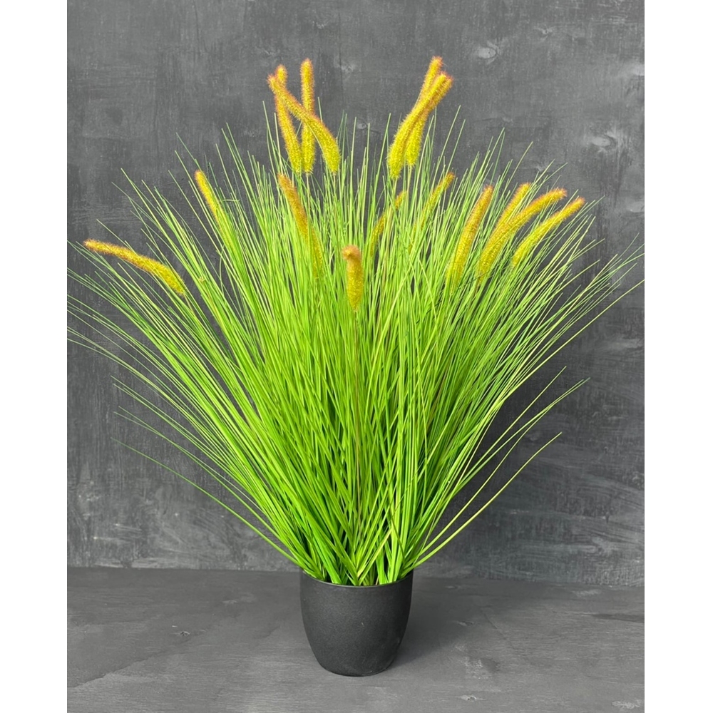 Осока с желтыми колосьями