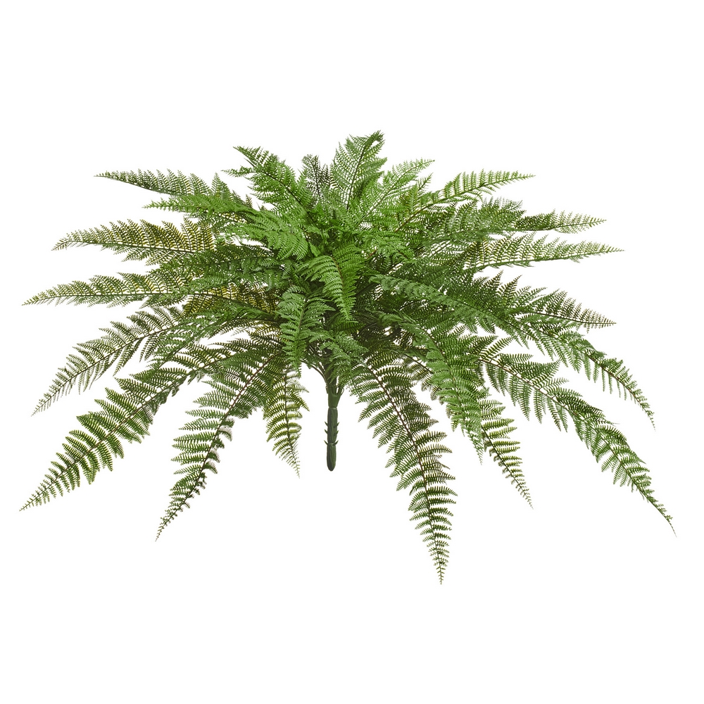 Папоротник Вудвардия большой 110 см