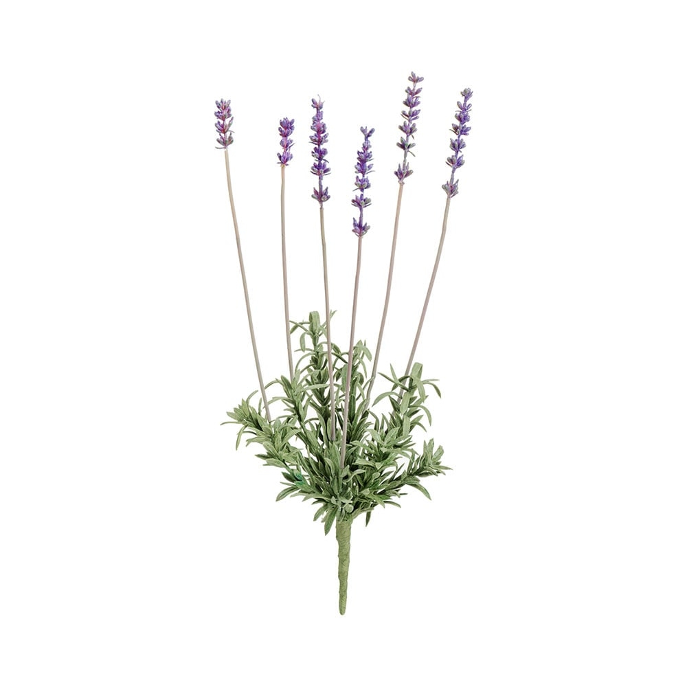 Лаванда куст 25 см