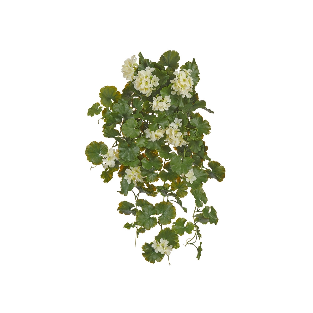 Герань ампельная кремовая (UV-фильтр)