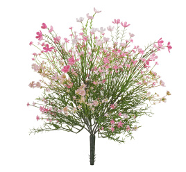 Цветущий полевой куст нежно-розовый