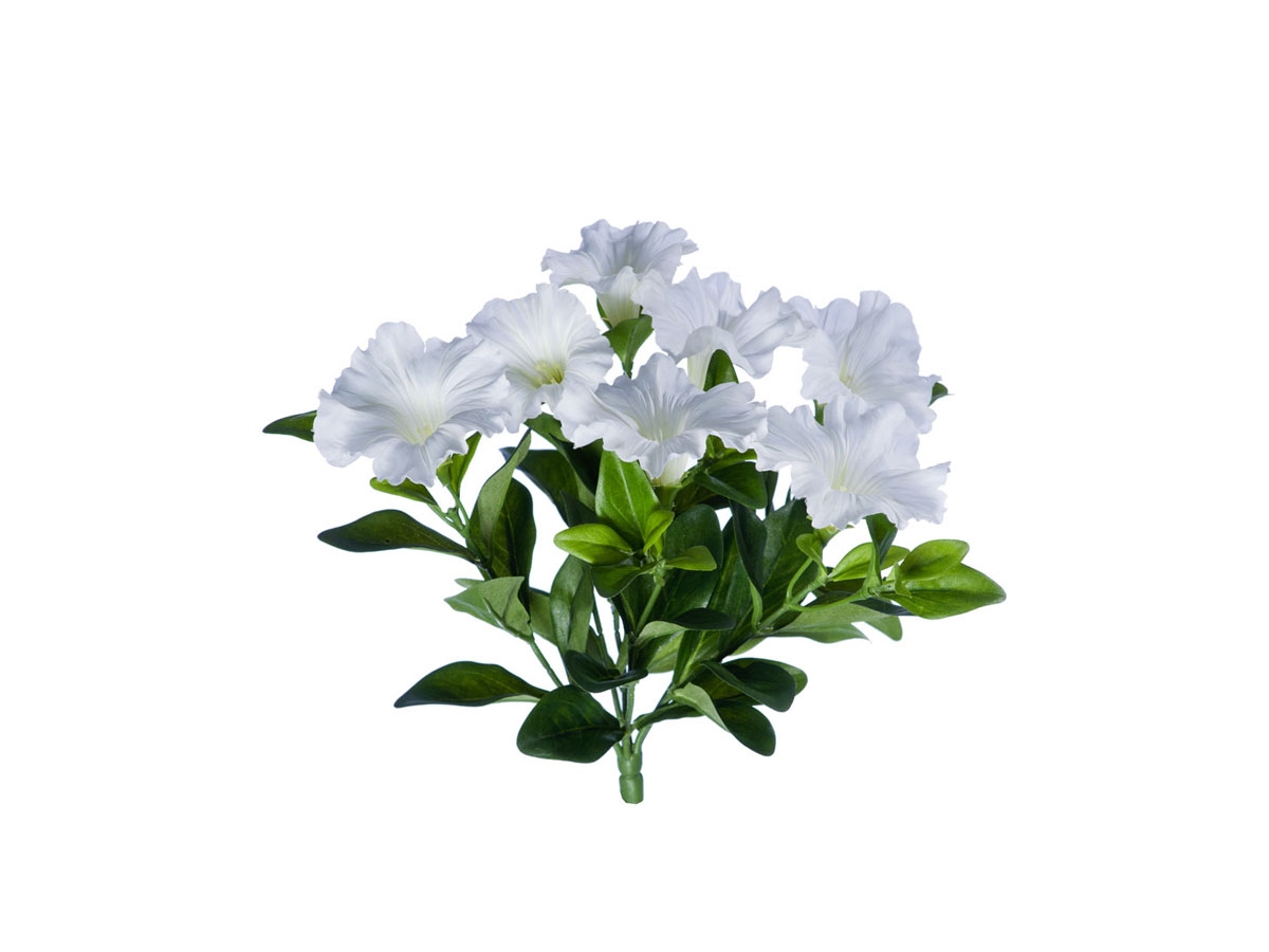 Петунья без кашпо 20см - белый цветок (растения)