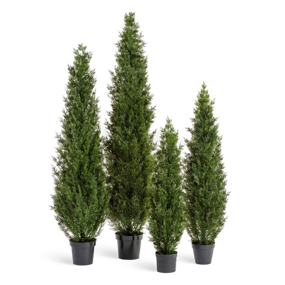 Туя Смарагд Элегант - 210