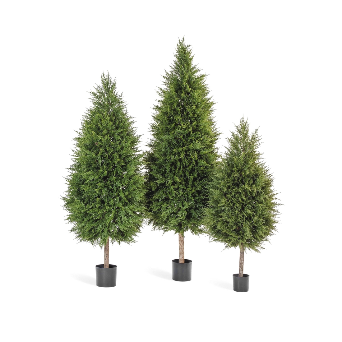 Кипарис Тауэр уличный новый - 195