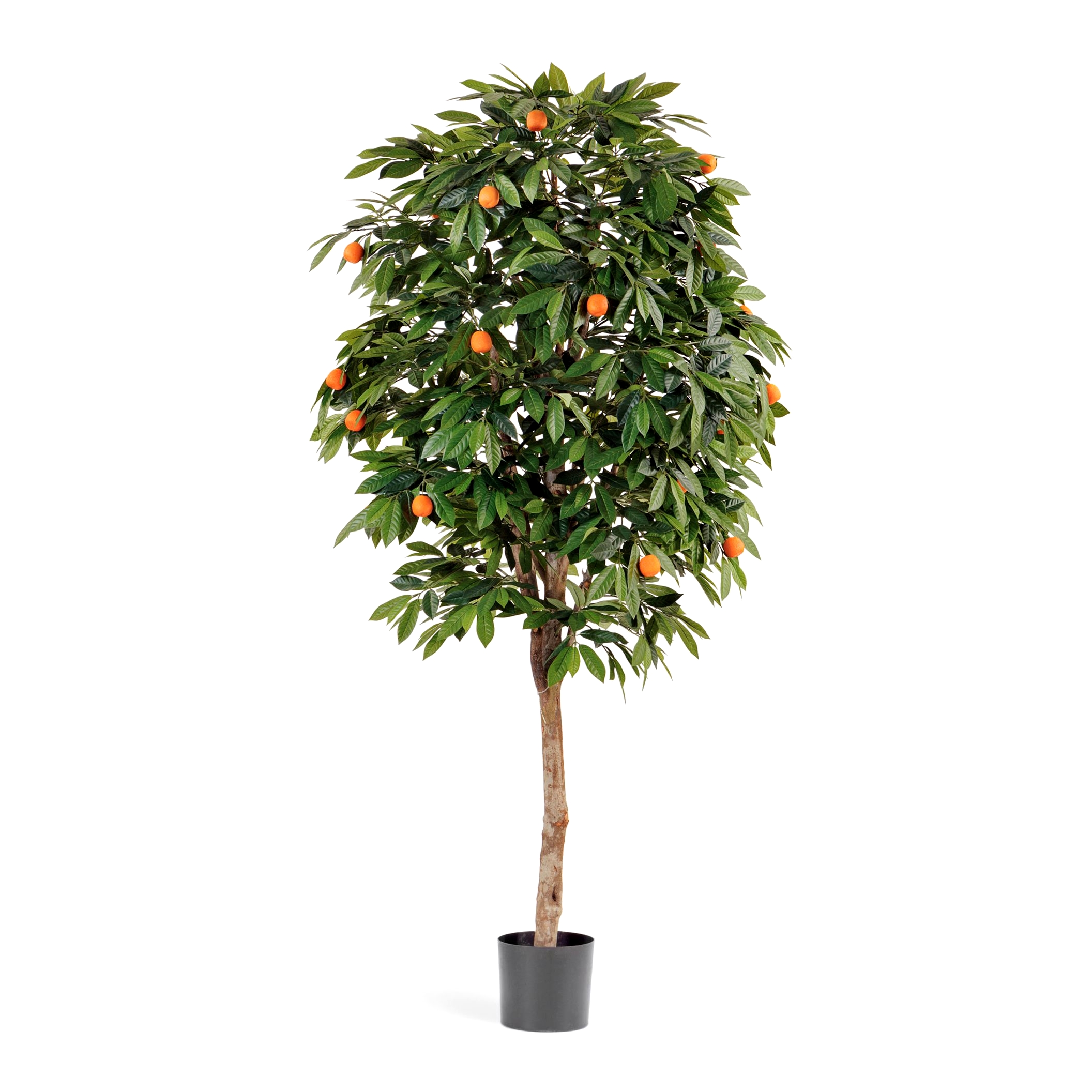 Мандарин Оранж - 110