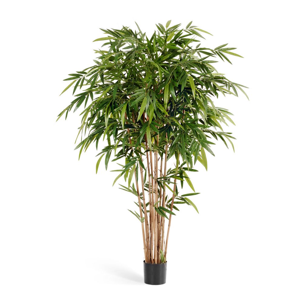 Бамбук Новый Натуральный