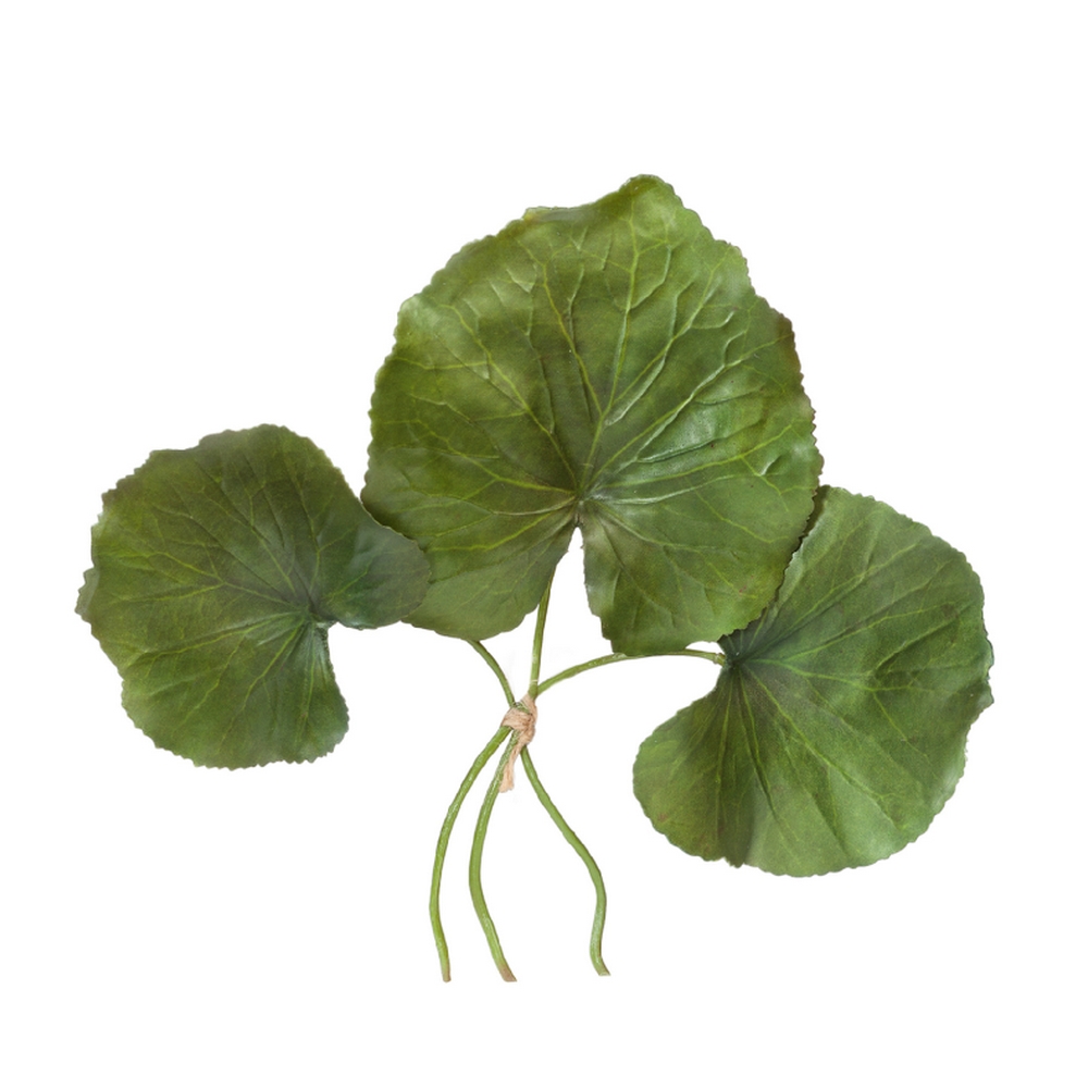 Листы Галакса