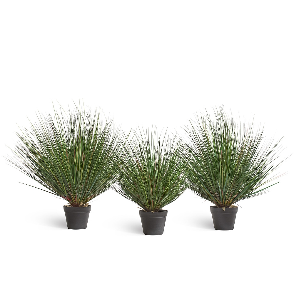 Трава Осока горная