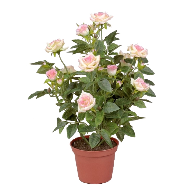 Мини-роза 33см