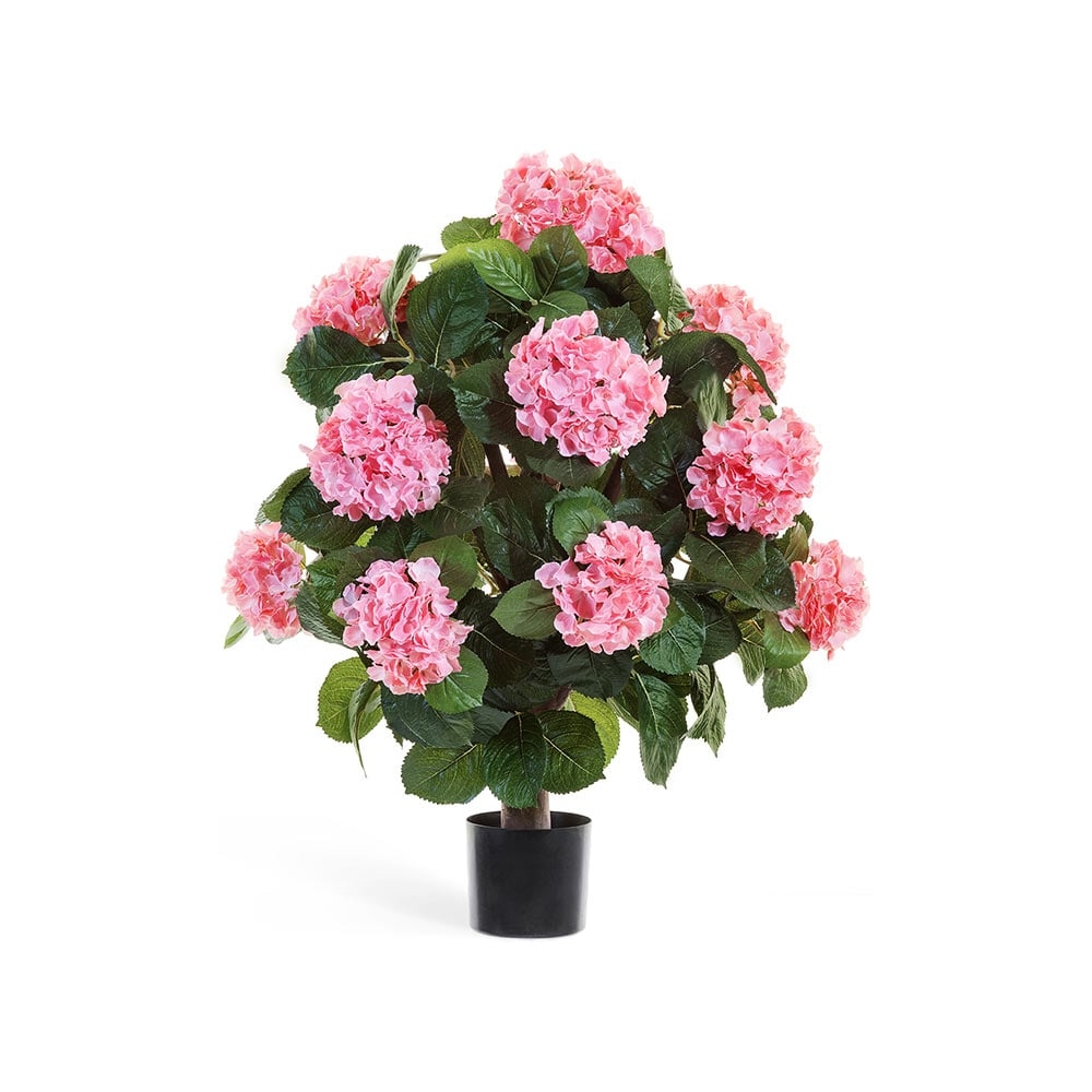 Гортензия куст Макси 70 см