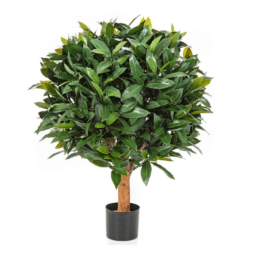 Лавр круглый с UV-фильтром уличный