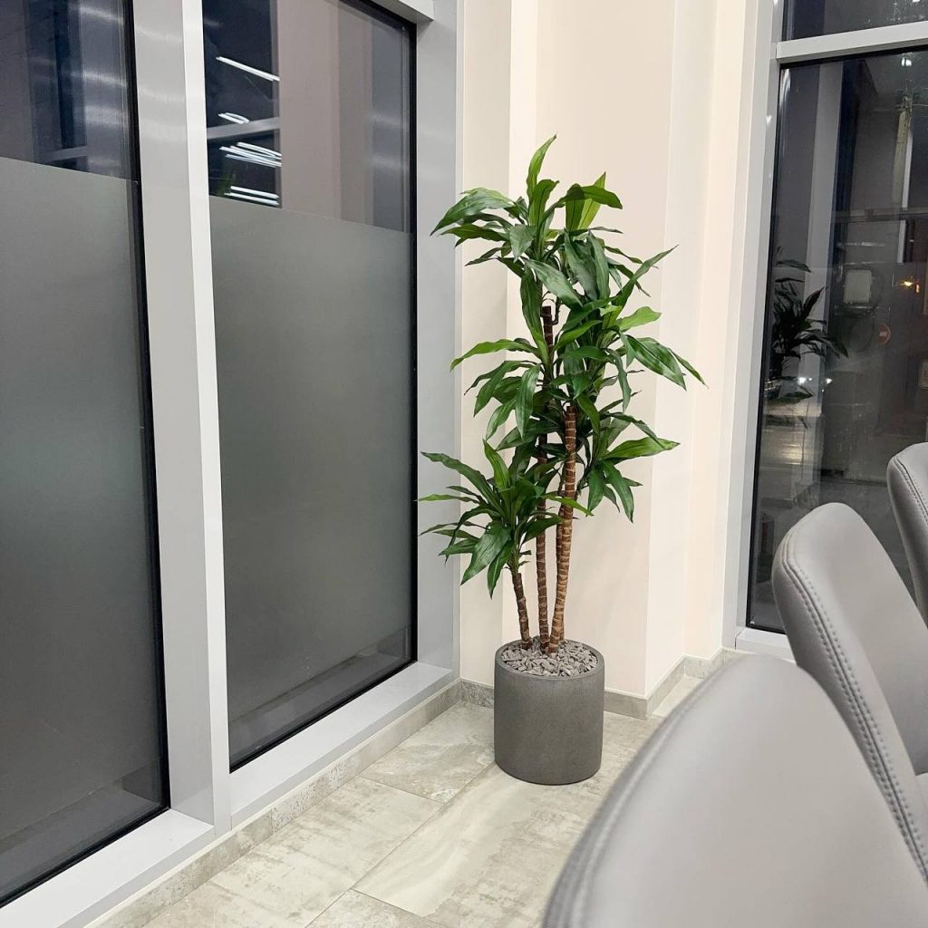 Дарстрой — строительная компания г. Краснодар