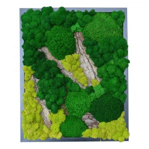 Фитопанно 50*40 см