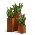 Кашпо TREEZ Effectory Corten Steel Цилиндр Кортеновская сталь Бархатистая окись