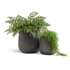 Кашпо TREEZ Effectory Beton Design-Чаша Тёмно-серый бетон - 49 x 50