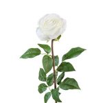 Роза Соло Нью большая  72см