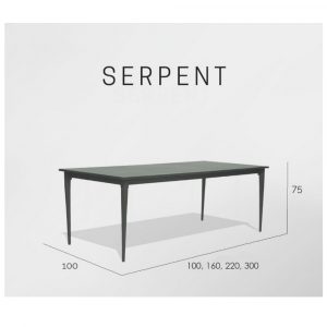 SERPENT стол обеденный 220*100*75см, CARBON