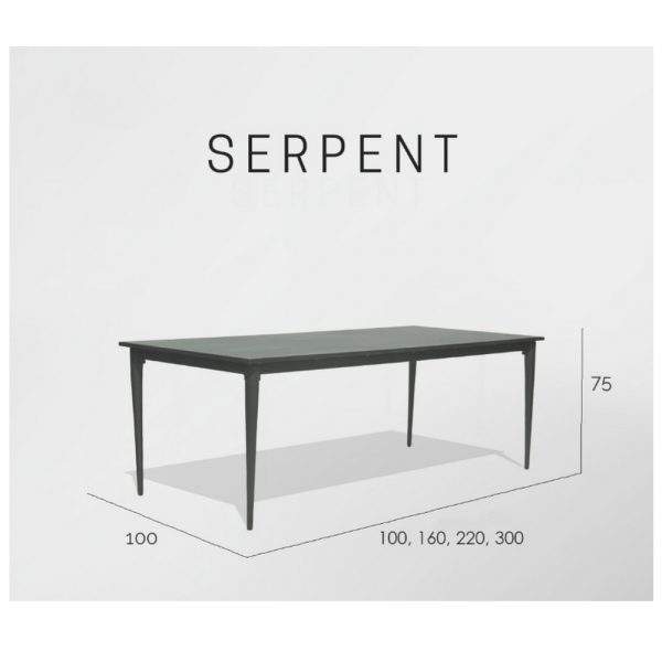 SERPENT стол обеденный 220*100*75см, CARBON