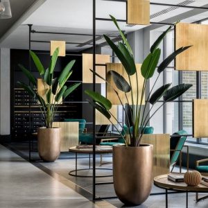 Стрелиция Style зеленая