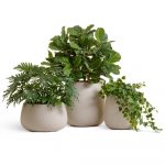 Кашпо TREEZ Effectory Beton Design Чаша Белый песок