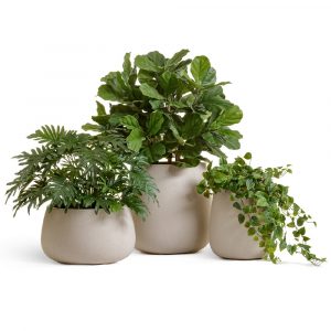 Кашпо TREEZ Effectory Beton Design Чаша Белый песок