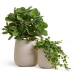Кашпо TREEZ Effectory Beton Design Чаша Белый песок