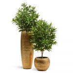 Кашпо TREEZ Effectory Metal Высокая Design-ваза Чеканное золото