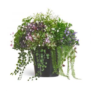 Цветущее разнотравье куст 55 см